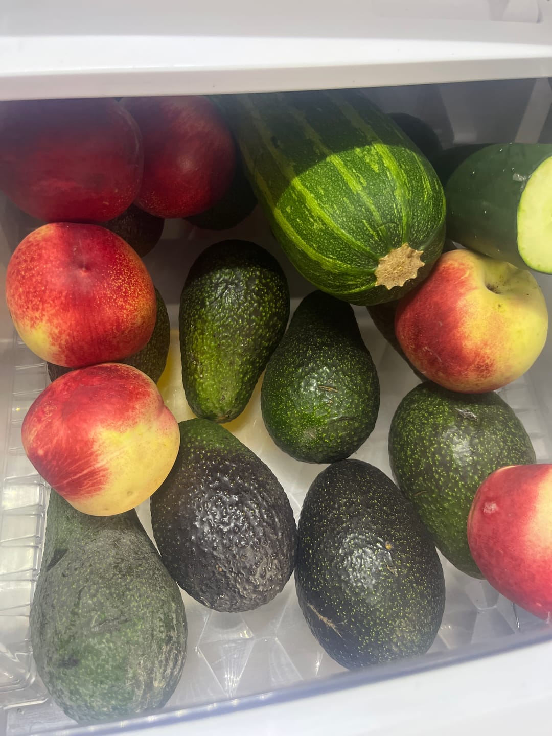 Customer photo review of 5 kg Palta Hass Chilena