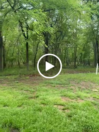 Customer video review of Tree Pro Grow Tubes