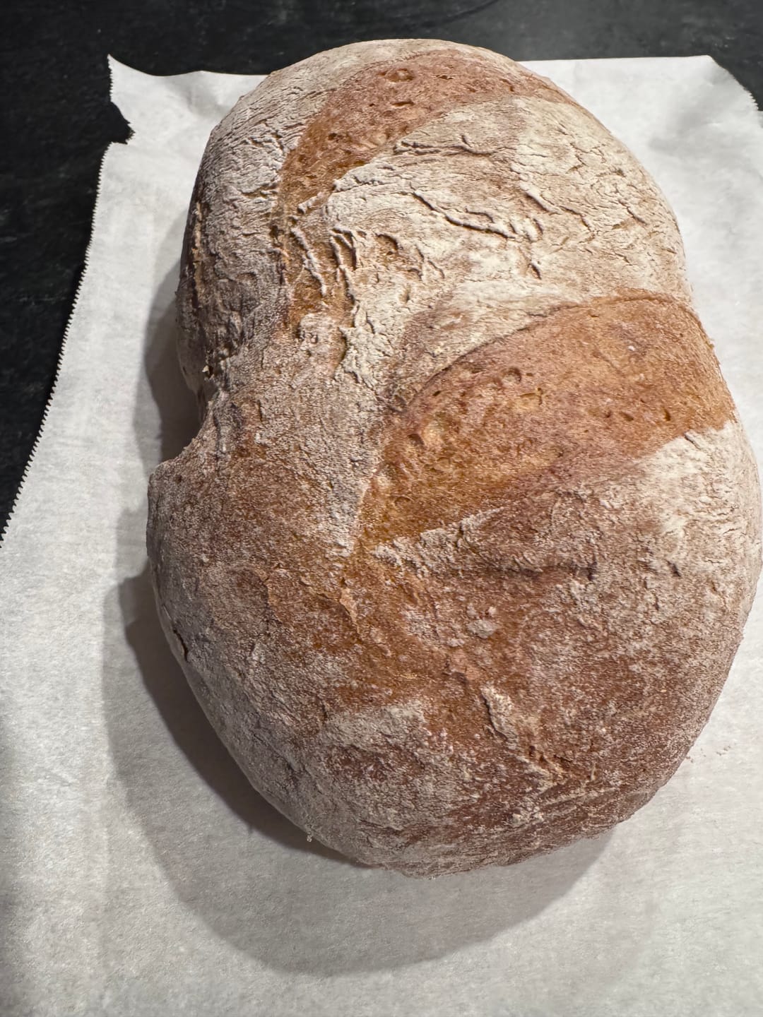 Customer photo review of German Country Loaf