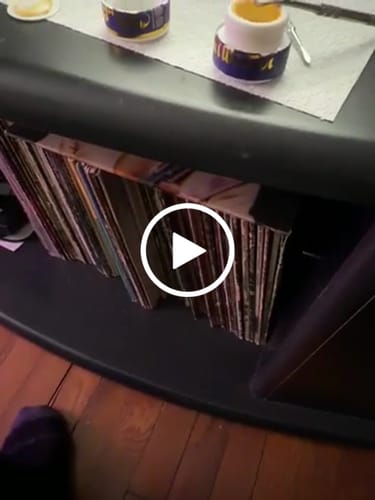 Customer video review of Wild Zaazaa Badder