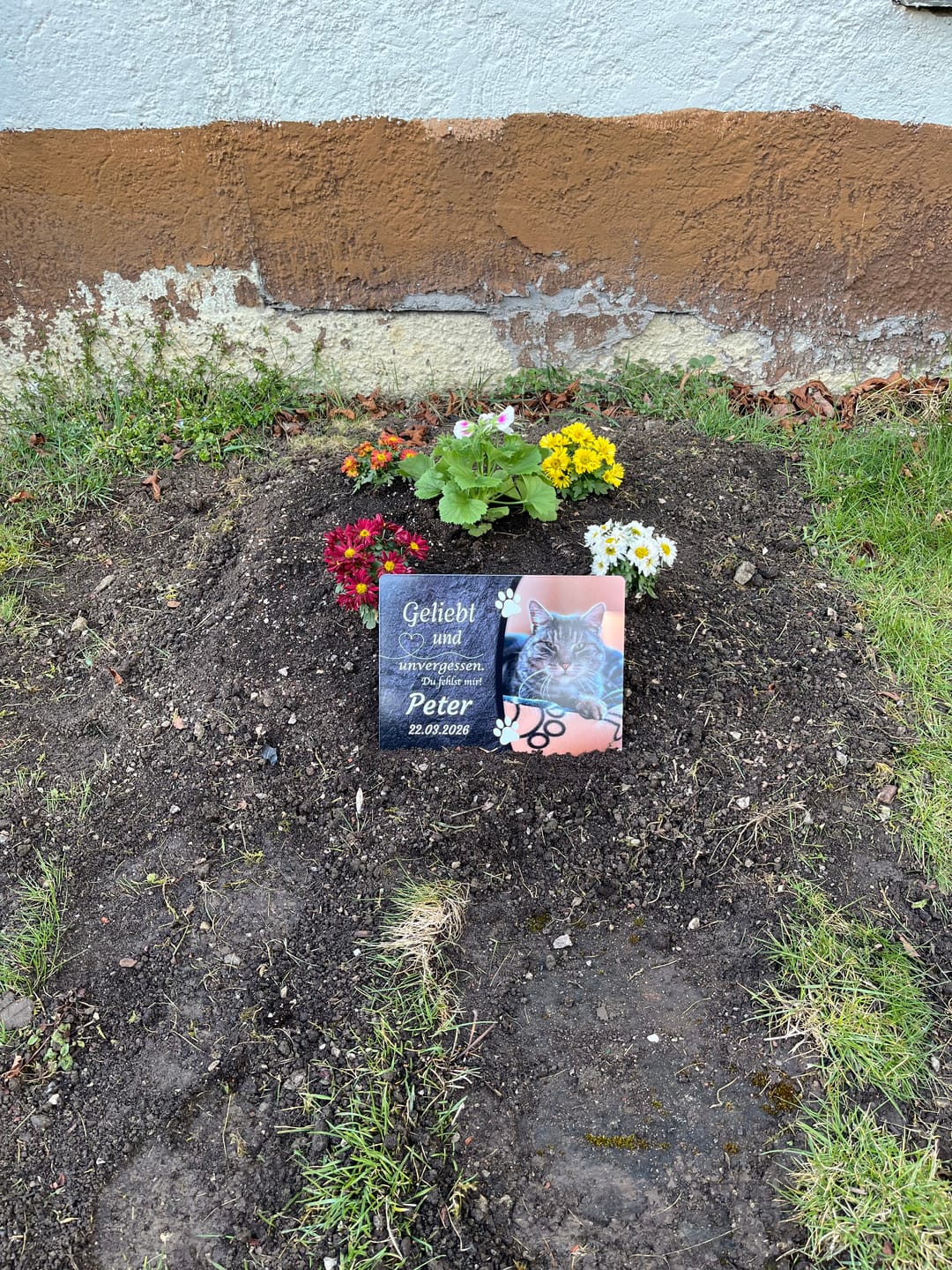 Customer photo review of Katzen Gedenktafel mit Foto & Spruch (UV- & Wetterfest)