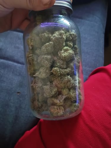 Orange Creamsicle Indoor - Bulk - Sativa photo review