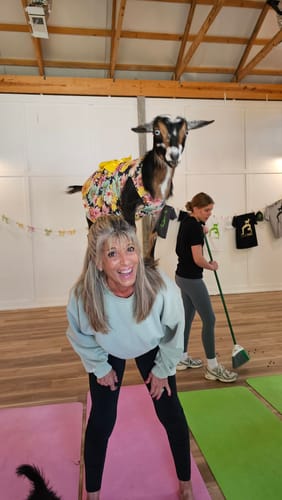 Reviewer smiling in black 3D Anti-Cellulite Leggings while a goat stands on her back during goat yoga.