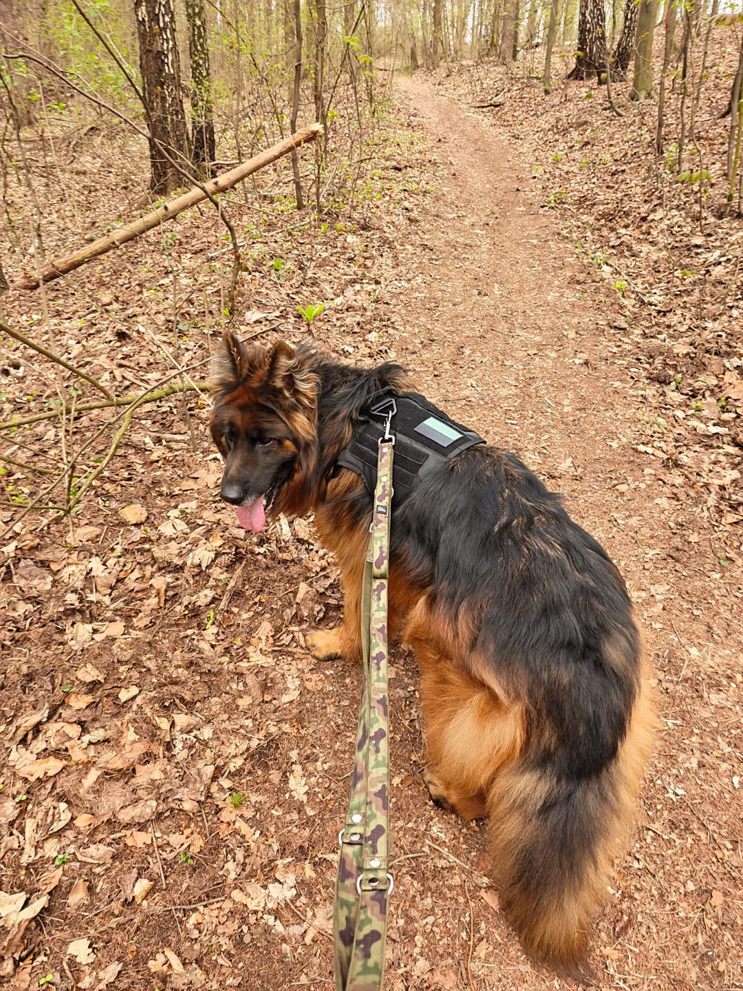Customer photo review of Smycz przepinana z dodatkową raczką - Multi Guard Leash Camo Green