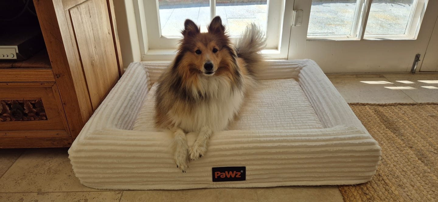 Customer photo review of Orthopaedic Dog Bed – Waterproof & Washable