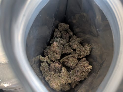 Customer's MAC 1 THCA Flower buds inside the resealable silver bag.