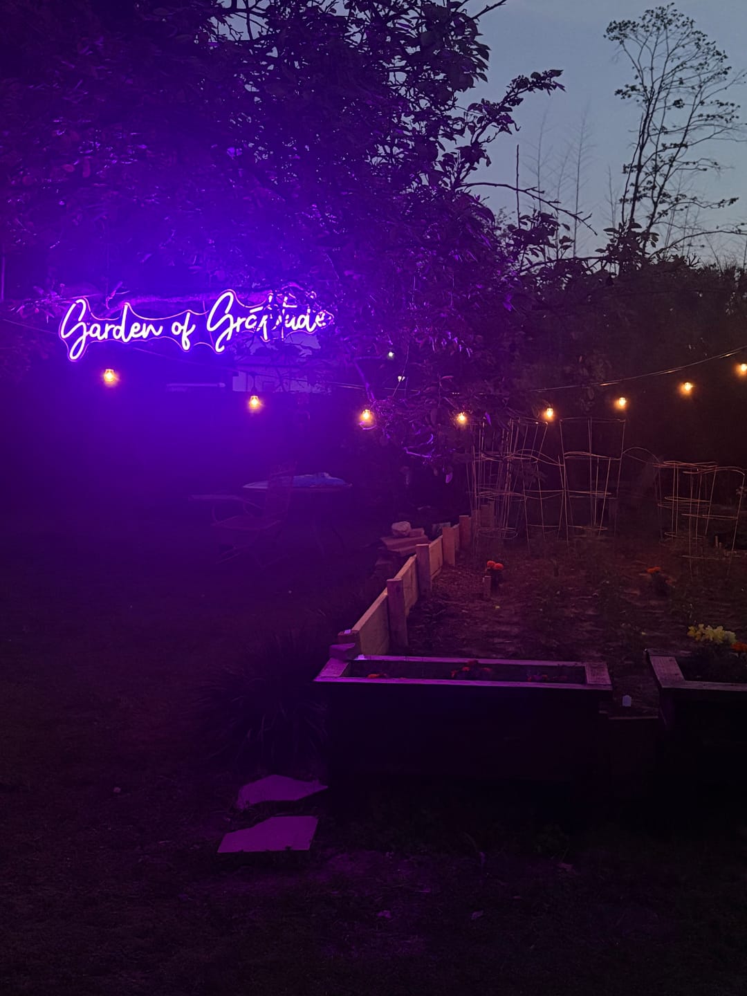 Customer photo review of Custom Neon: Garden of Grati...
