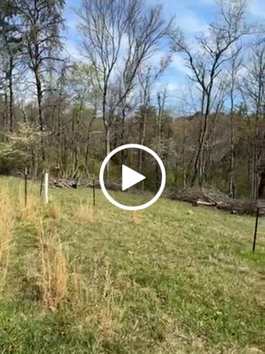 Customer video review of Tree Pro Grow Tubes