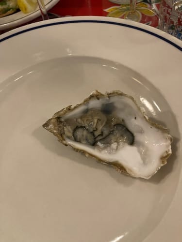 Customer photo review of The OysterClamp 2.0