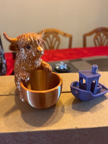 Customer photo review of Anycubic Kobra X