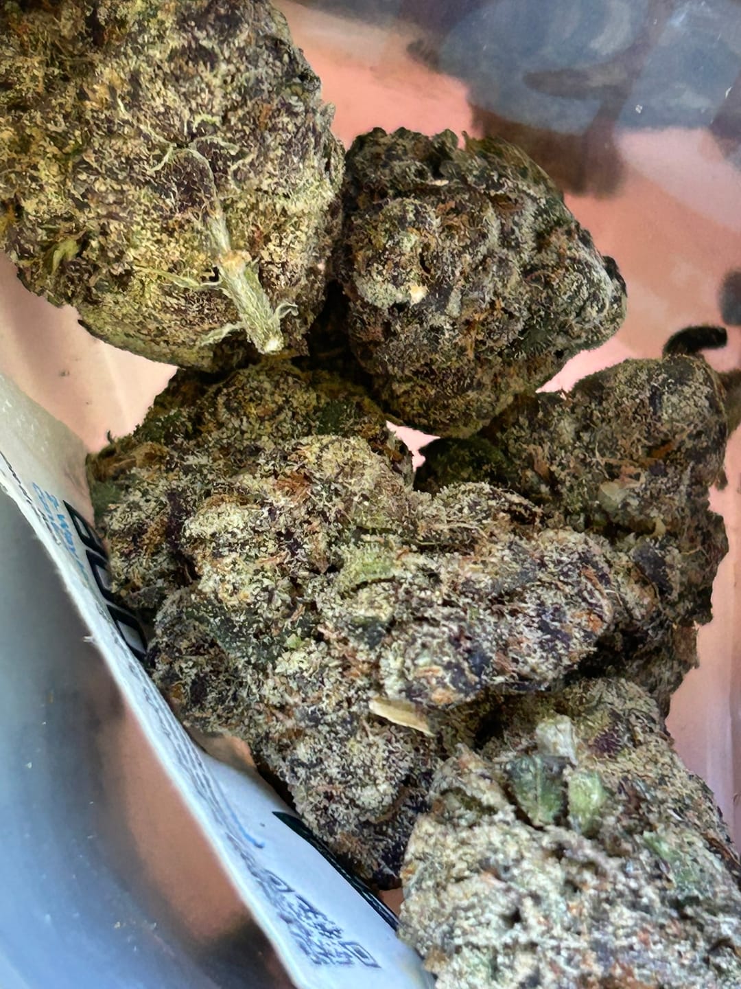 Customer photo review of Purple Haze
