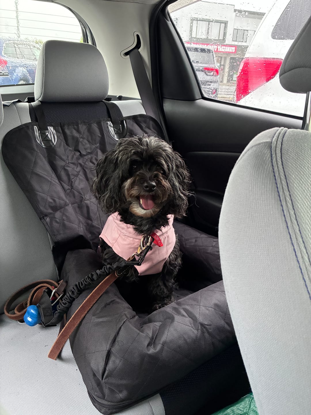 Customer photo review of Car Seat Cover