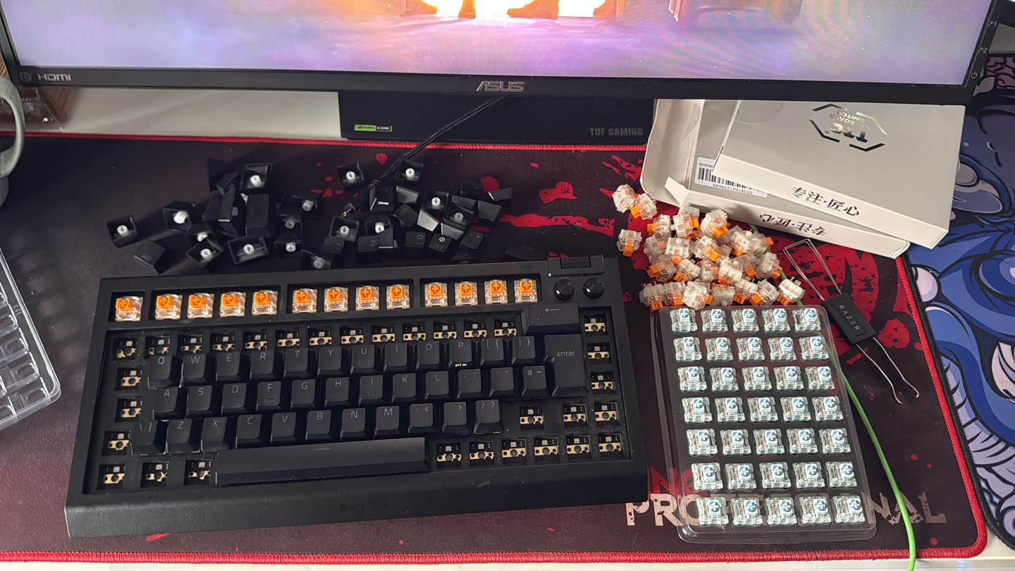 Customer photo review of TTC Frozen Silent V2 Mekanik Switch
