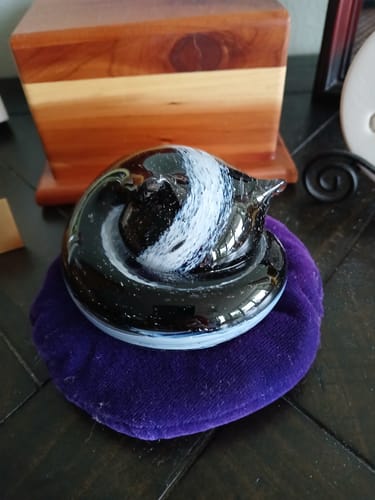 Reviewer's glass Sleeping Cat memorial in a black and white tuxedo pattern, resting on a small purple cushion.