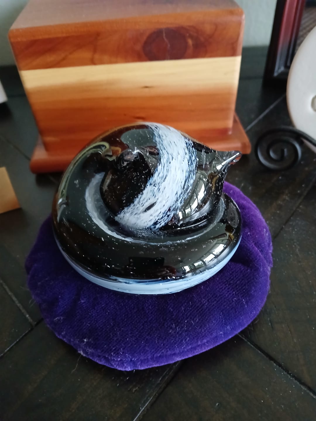 Customer photo review of Sleeping Cat with Infused Cremation Ashes