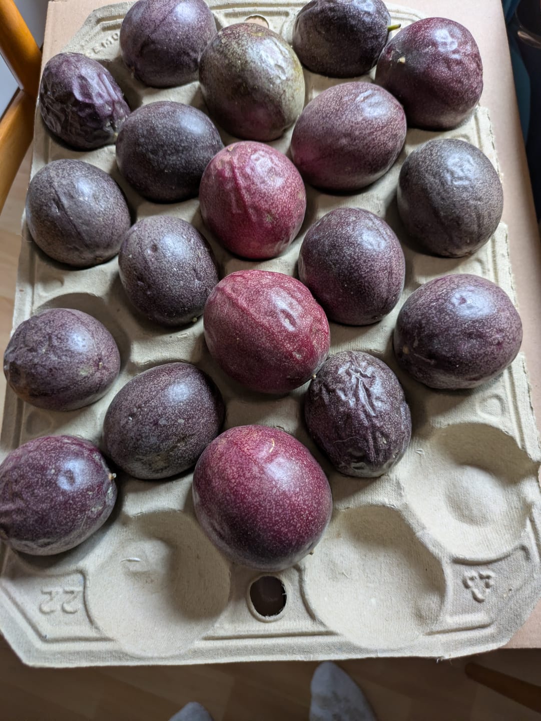 Customer photo review of Passionsfrüchte von Julian Sonderaktion %