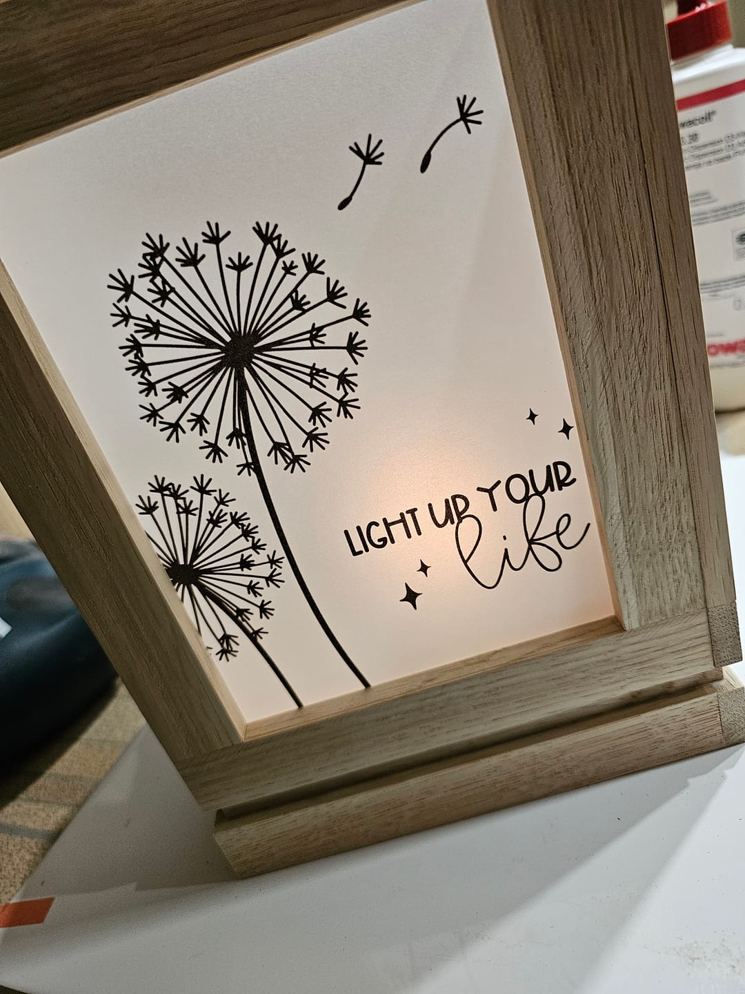 Customer photo review of Laterne PDF - Pusteblumen