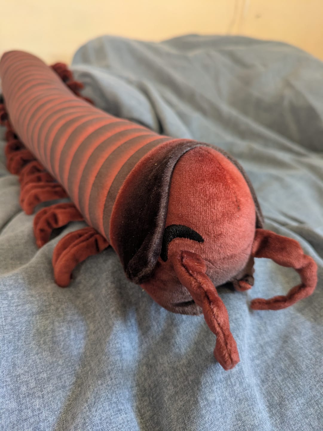 Customer photo review of Specimen 1 - Giant African Millipede Plush