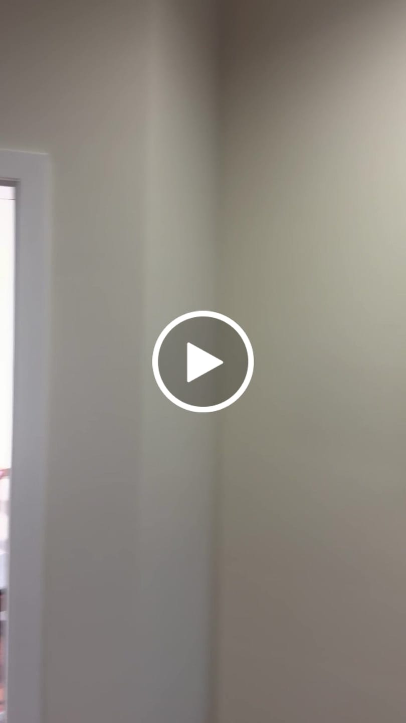 Customer video review of Muskeln Anatomie - Chalkboard