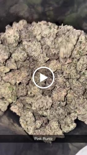 Pink Runtz Indoor - Bulk - Hybrid photo review