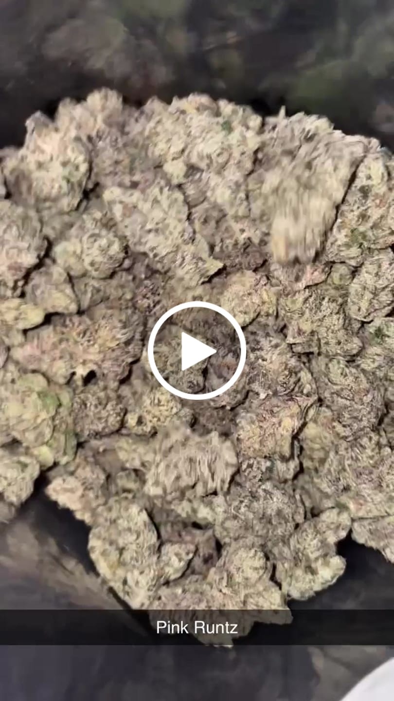 Customer video review of Pink Runtz Indoor - Bulk - Hybrid