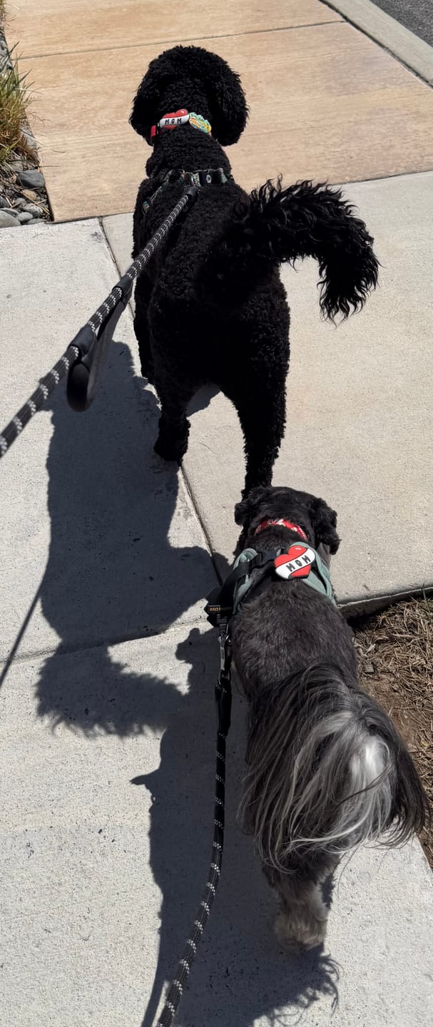 Customer photo review of Mom Tattoo Jiby Dog Charm
