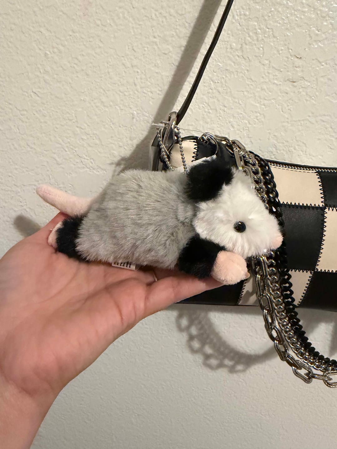 Customer photo review of Forgotten Peter the Opossum