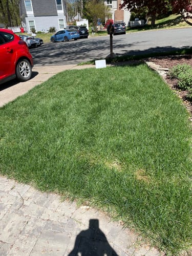 Customer photo review of GCI Turf 28-0-8 G