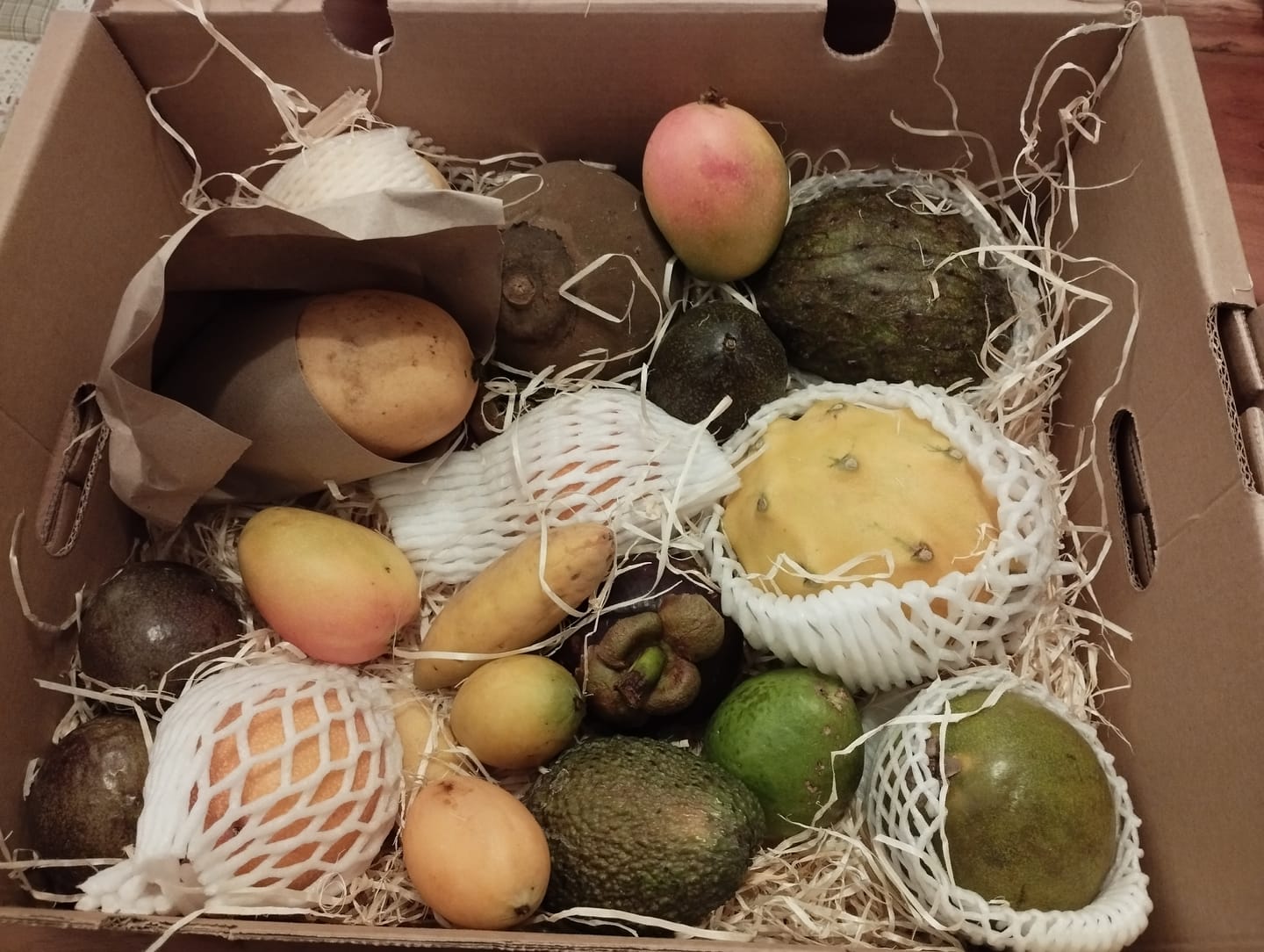 Customer photo review of Tropenreise Südamerika Box
