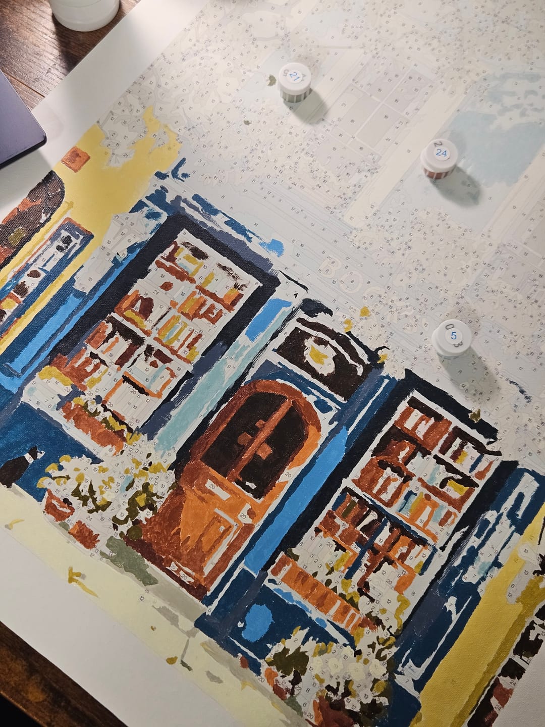 Customer photo review of The Blue Bookshop | Paint by Number
