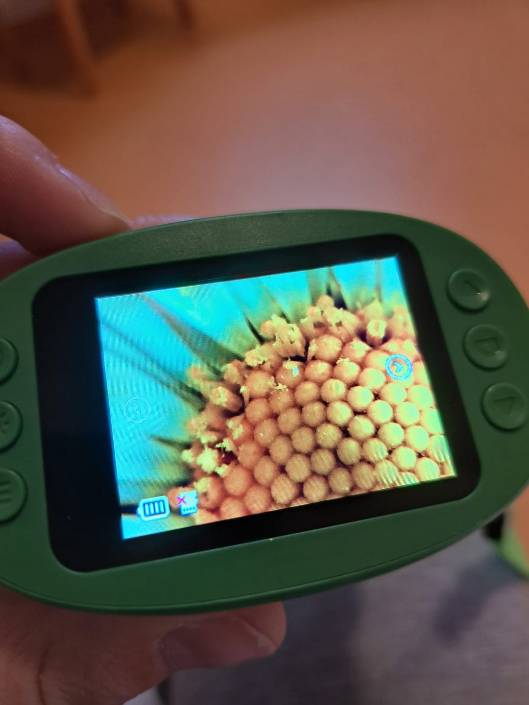 Customer photo review of Edubini Abenteuer-Mikroskop für Kinder