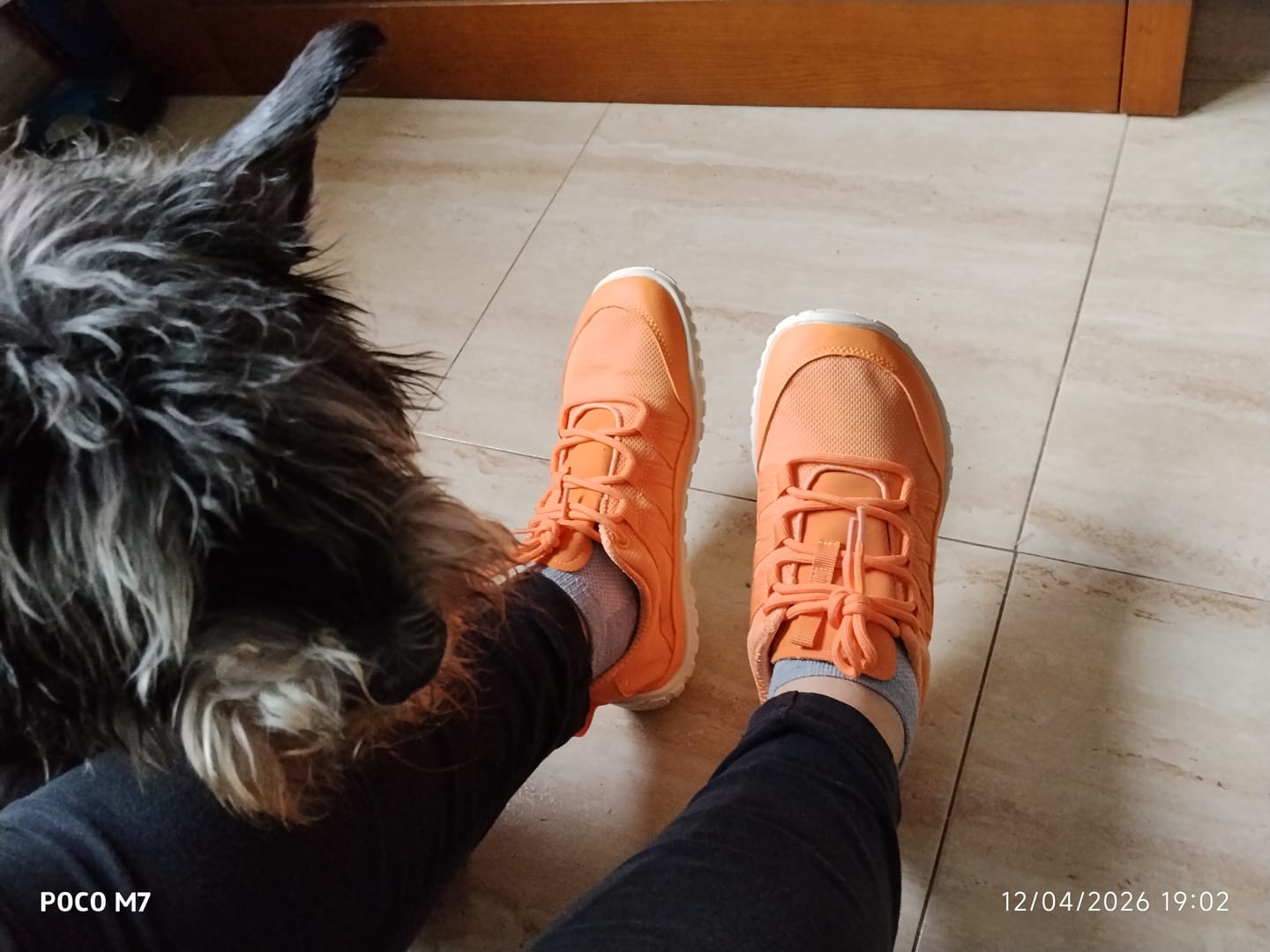 Customer photo review of Forestep Ⅰ - Zapatos Barefoot