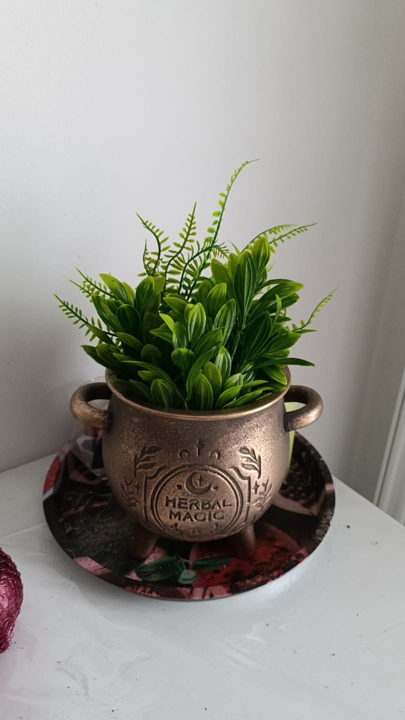 Customer photo review of Herbal Magic Kessel-Blumentopf – Terrakotta Pflanzenkessel in Bronzeoptik