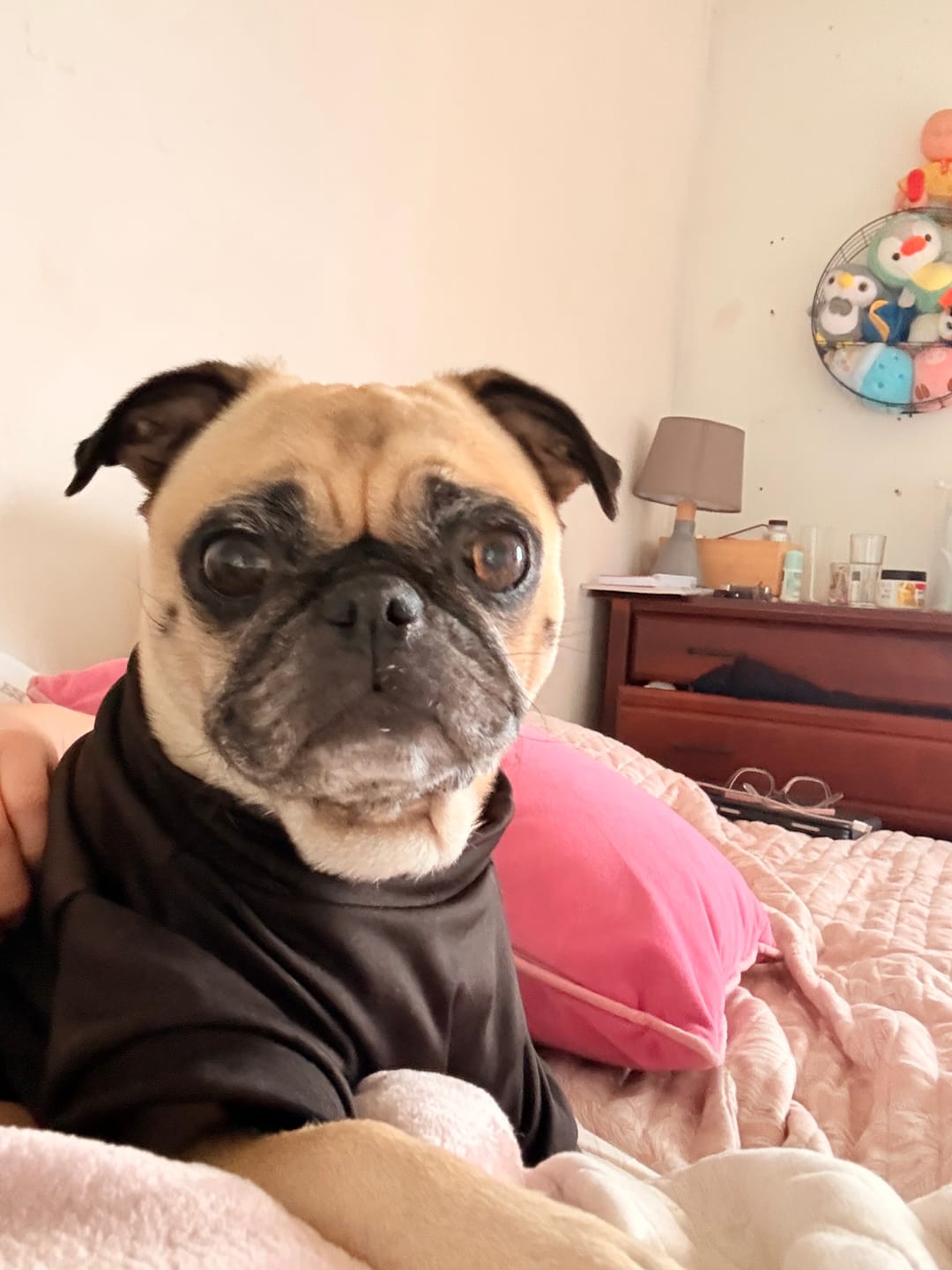 Customer photo review of Polera Térmica Power Stretch™