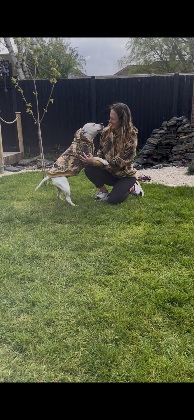 Customer photo review of Everglade Skydye Dog Hoodie
