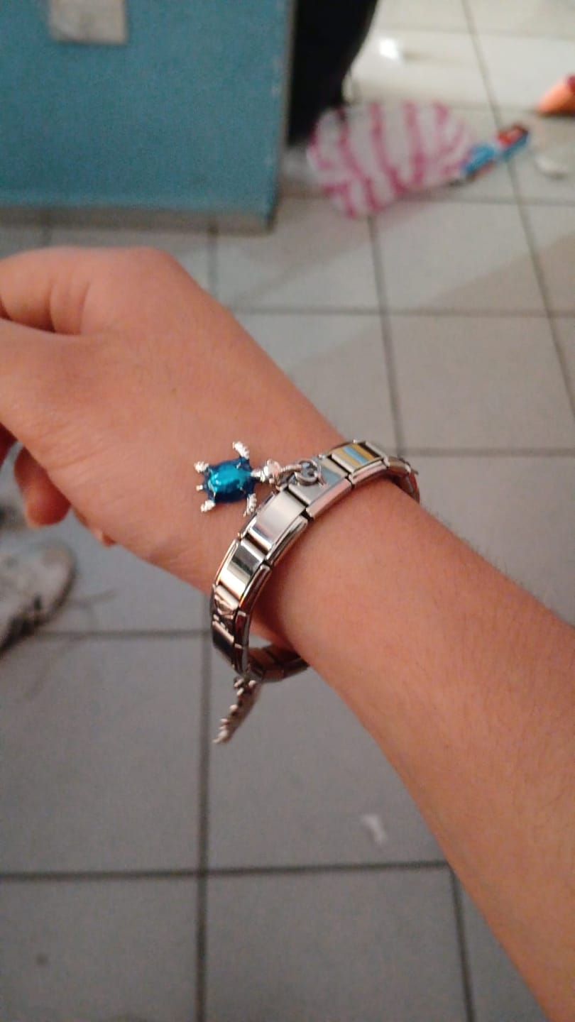 Customer photo review of Pulsera Italiana Clásica para Charms