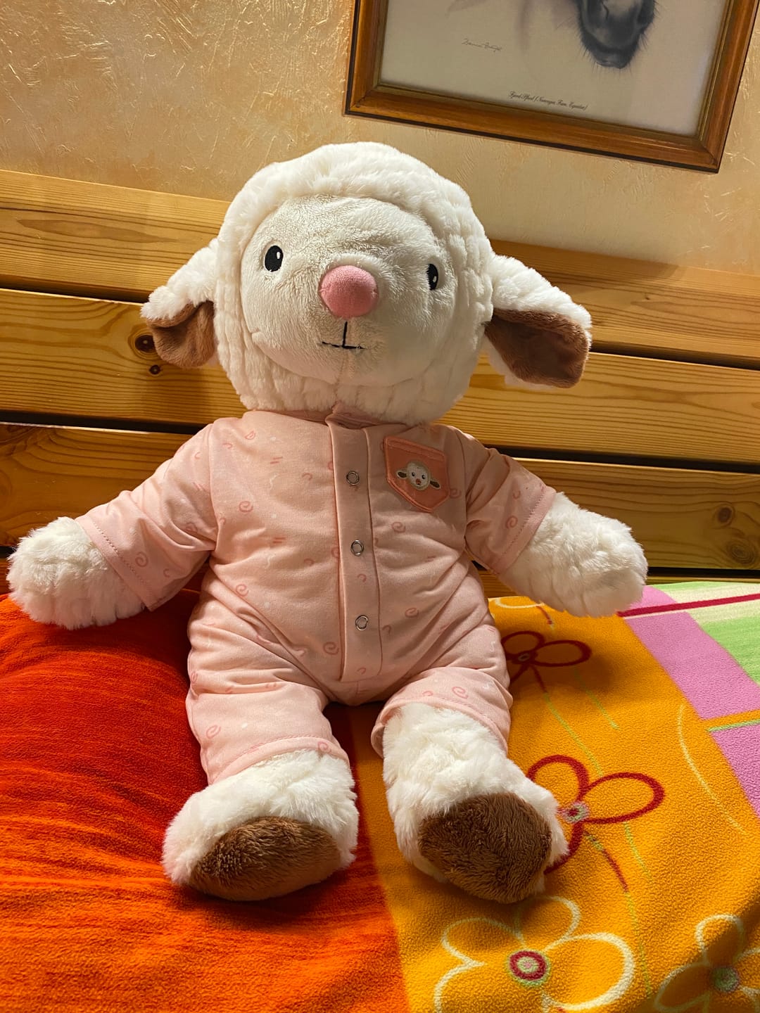 Customer photo review of Schaap Kleding 2.0 Lotgenootje