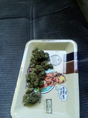 Customer photo review of Pinyatti THCA Flower