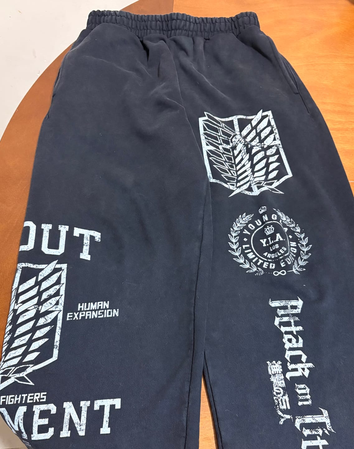 Customer photo review of 2128 - AOT©  x YLA Baggy Joggers