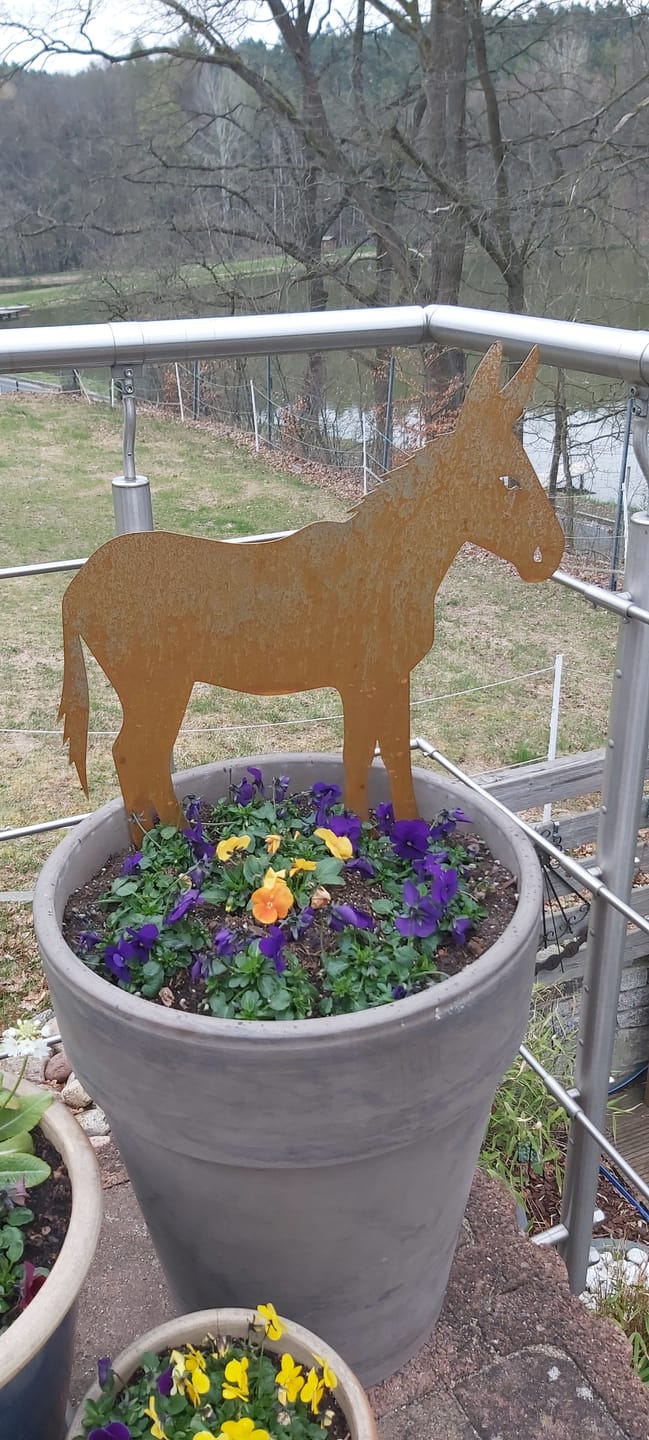 Customer photo review of Gartenstecker Esel