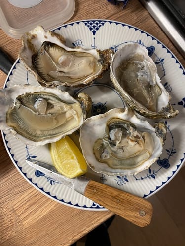 Customer photo review of The OysterClamp 2.0