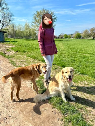 Anmelder iført en rosewood Pack&Carry Shell Jacket på en mark med to hunde.