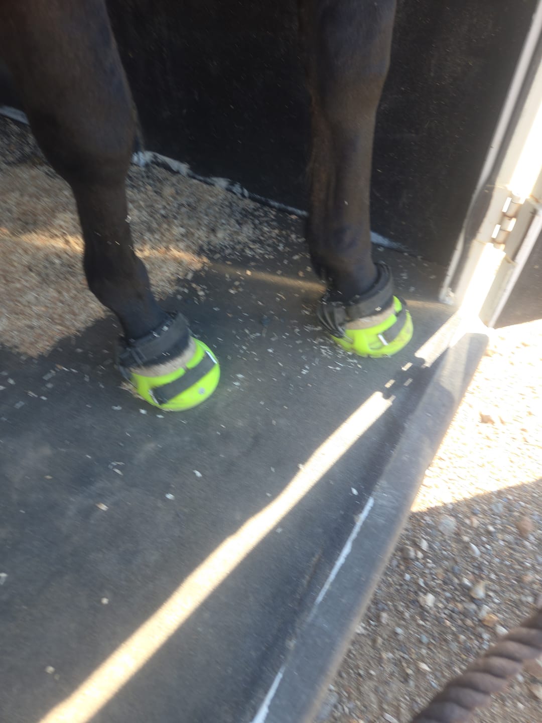 Customer photo review of Renegade® Viper Hoof Boot ULTRA-BLEM Seconds -- Blind Box Mystery Selection