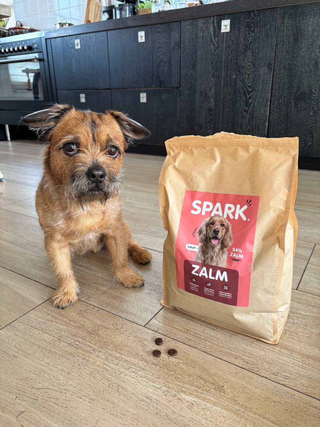 Customer photo review of V2.0 - Volwassen - Zalm met Zoete Aardappel