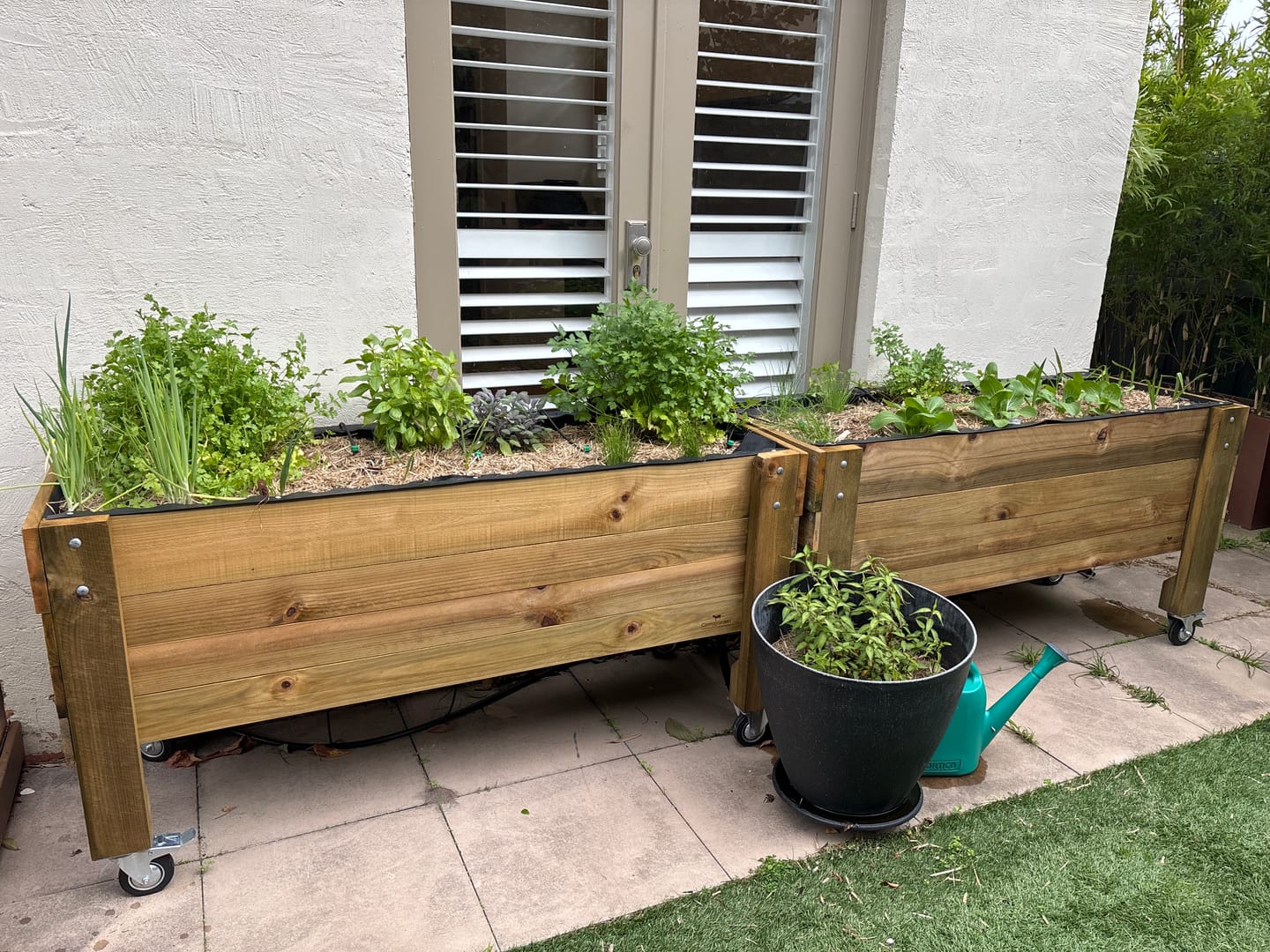 Customer photo review of Large Raised Garden Bed with Wheels Kit - 157x60x80cm(h) - Australia Wide Shipping