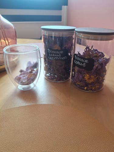 Customer photo review of PRE ORDER Blue Lotus Flower (Nymphaea caerulea)