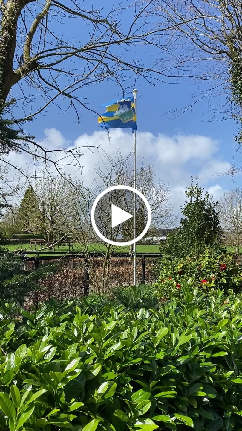 Customer video review of Ireland National Flag