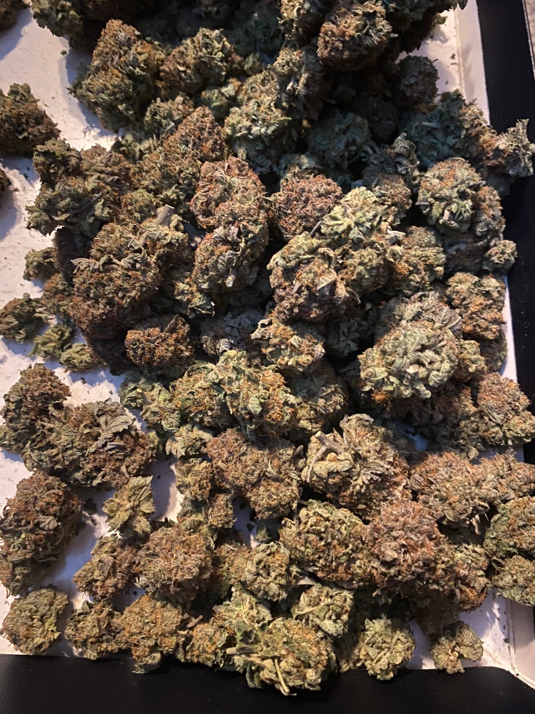 Customer photo review of Raspberry Kush - Bulk- Indica