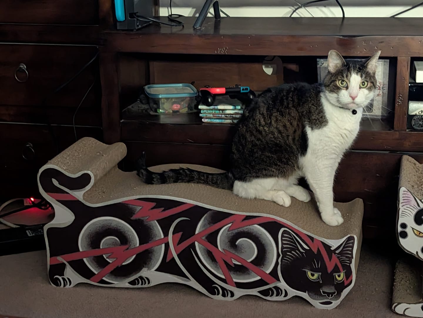 Customer photo review of Electric Cat Scratcher