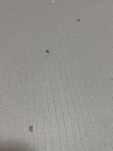 Customer photo review of 【子育て支援大賞2025受賞商品】PARKLON やわらかクッションマット